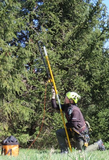 06 instalace lana do koruny stromu pomocí praku pracenalane.cz 